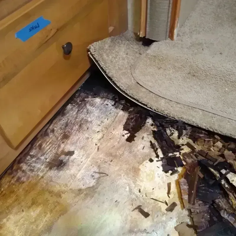 Wood Floor Water Damage in Excelsior, MN